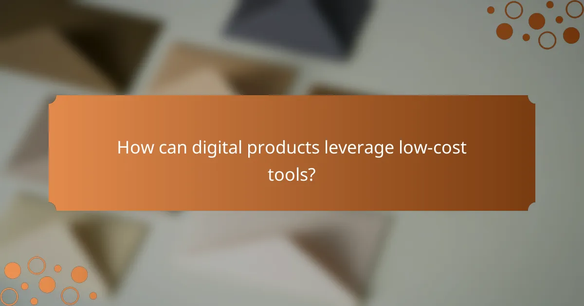 How can digital products leverage low-cost tools?